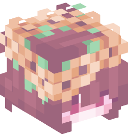 Minecraft head — People