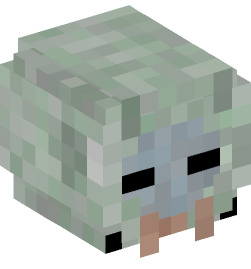 Minecraft head — People