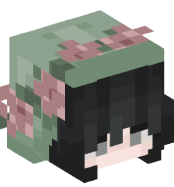 Minecraft head — People