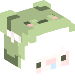 Minecraft head — People