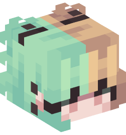 Minecraft head — People