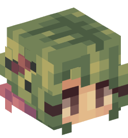 Minecraft head — People