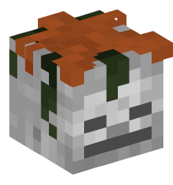 Minecraft head — Creatures