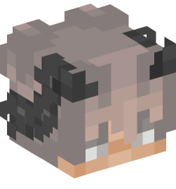 Minecraft head — People