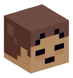 Minecraft head — Miscellaneous