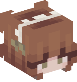 Minecraft head — People