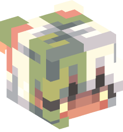 Minecraft head — People