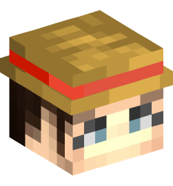 Minecraft head — People