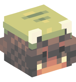 Minecraft head — People