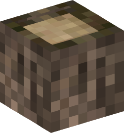 Minecraft head — Blocks