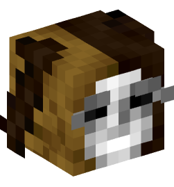 Minecraft head — People