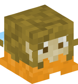 Minecraft head — Decor