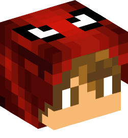 Minecraft head — People