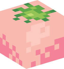 Minecraft head — Plants