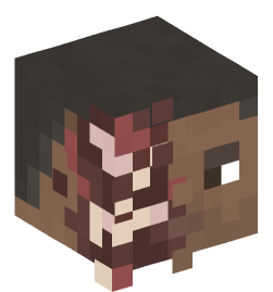 Minecraft head — People