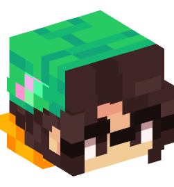 Minecraft head — People