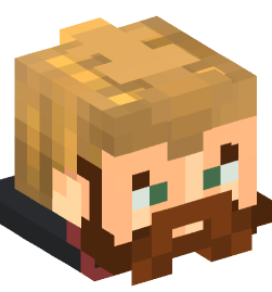 Minecraft head — People