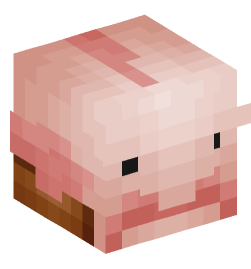 Minecraft head — Animals