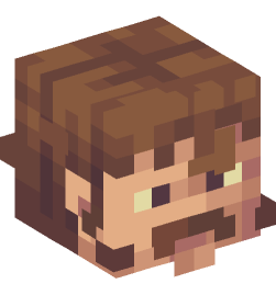 Minecraft head — People