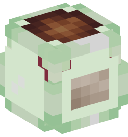 Minecraft head — Decor