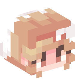 Minecraft head — People