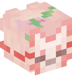 Minecraft head — People