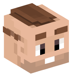 Minecraft head — People