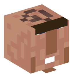 Minecraft head — People