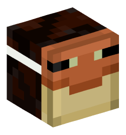 Minecraft head — Decor