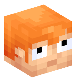 Minecraft head — People