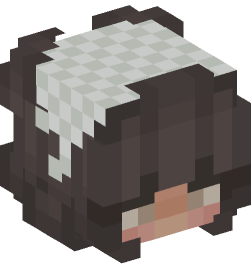 Minecraft head — People