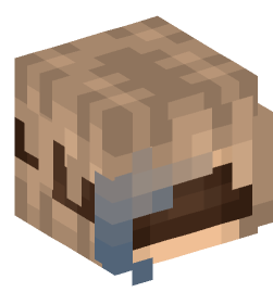 Minecraft head — People