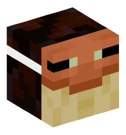 Minecraft head — Decor