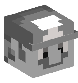 Minecraft head — People