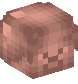 Minecraft head — Decor