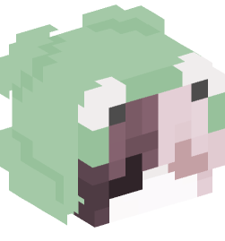 Minecraft head — People