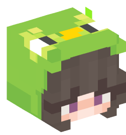 Minecraft head — People