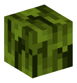 Minecraft head — Plants