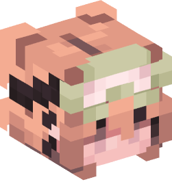 Minecraft head — People