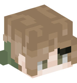 Minecraft head — People