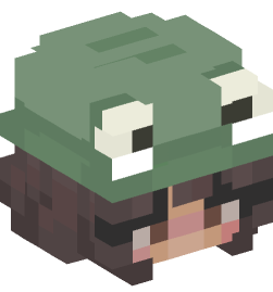 Minecraft head — People