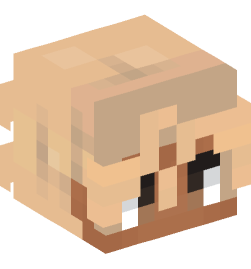 Minecraft head — People