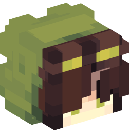 Minecraft head — People