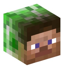 Minecraft head — Creatures