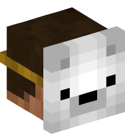 Minecraft head — People