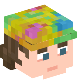 Minecraft head — People