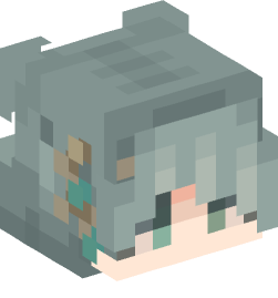 Minecraft head — People