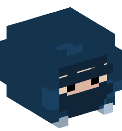 Minecraft head — People