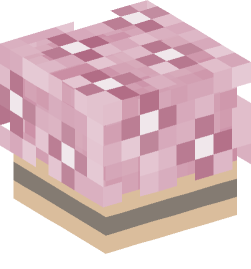 Minecraft head — Decor