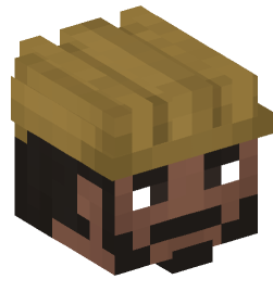 Minecraft head — People